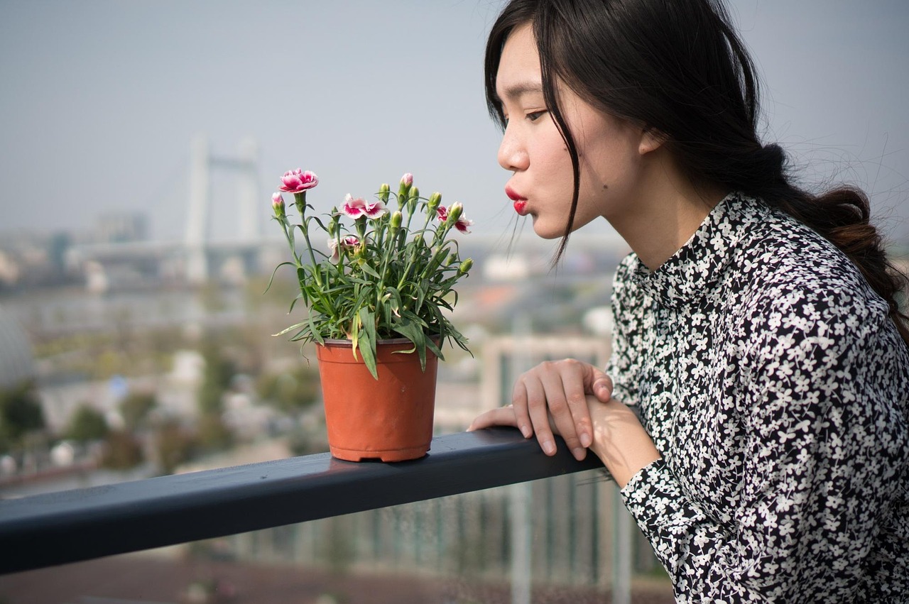 女主人 第4页