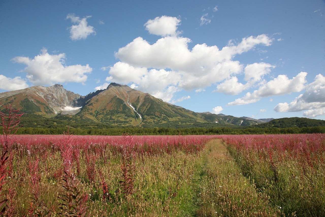 春暖花开新地址，探索未知的旅程