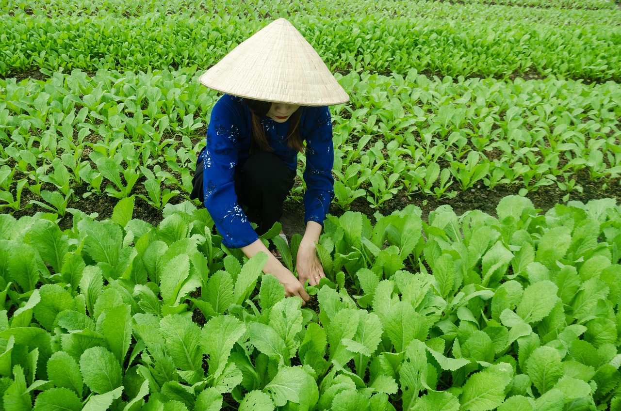 台州最新发展动态，繁荣步伐持续，未来展望令人期待