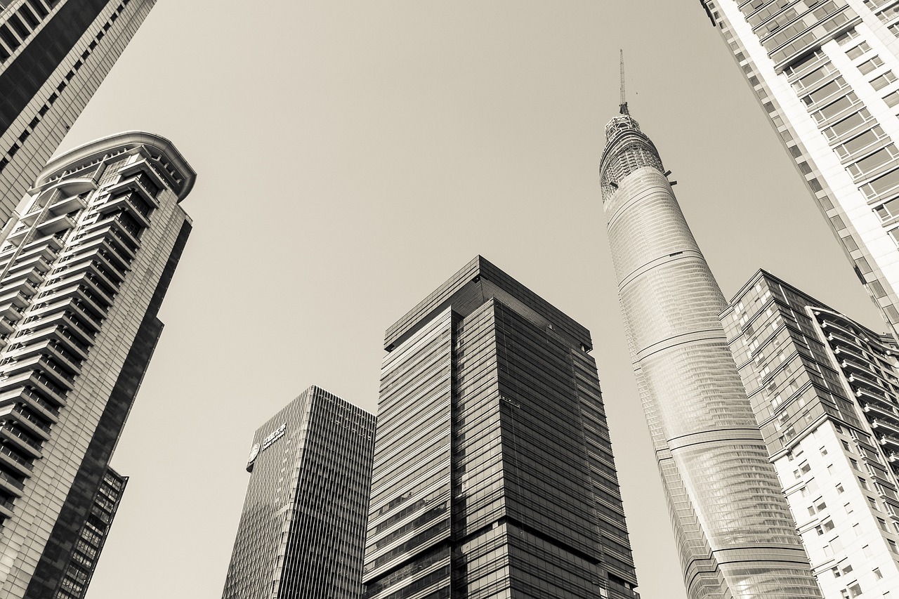 上海期货铅最新行情深度解析报告