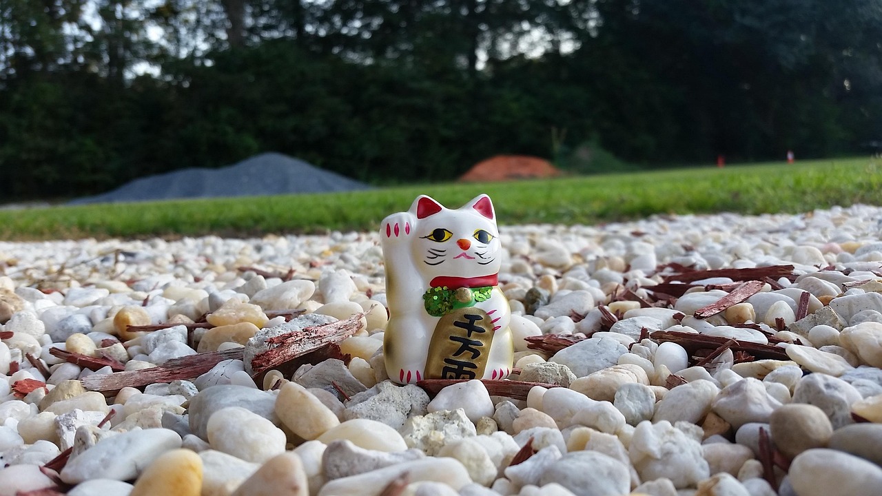 动漫仓鼠，独特文化魅力与创意表达的艺术展现
