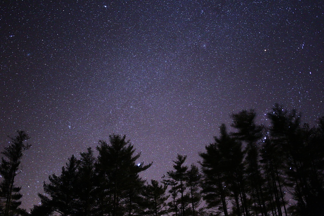 11月28日出生的明星璀璨星辰，探究明星的诞生之路