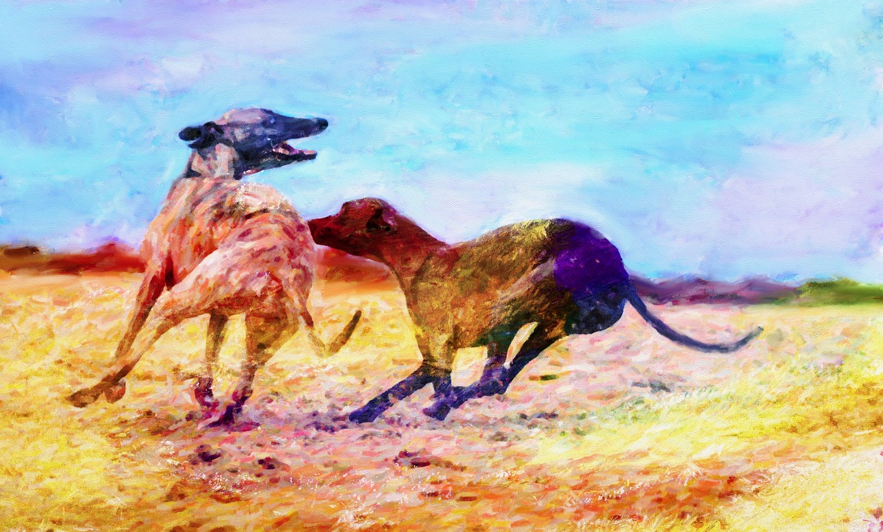 山东绘画比赛，艺术魅力的盛大展示
